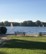 Surf - Parque de vacaciones Delftse Hout- Delft, Holanda Meridional, Países Bajos