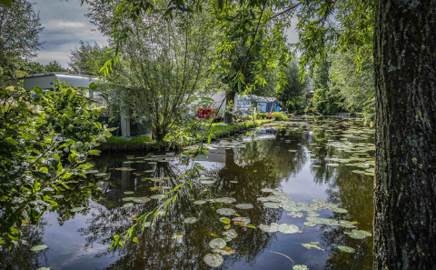 Hermoso estanque con nenúfares y vegetación en Camping Batenstein, Utrecht, Países Bajos, en verano.