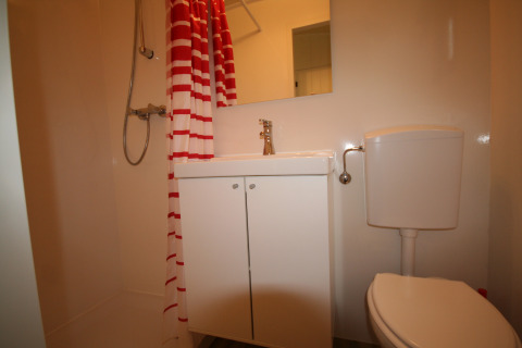 Et lille badeværelse på Pipowagen, Camping De Grienduil, med brusebad, vask, spejl og toilet.