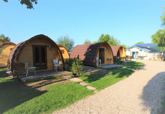 Små buede træhytter på Camping De Grienduil i Holland, perfekte til afslappende ophold i naturen.