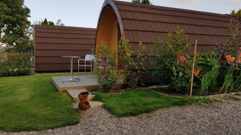 Das Megapod VIP Tiny House auf Camping De Grienduil in den Niederlanden mit Hühnern und Blumen im Vordergrund.