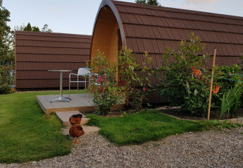 Het Megapod VIP tiny house op Camping De Grienduil in Nederland met twee kippen en bloemen ervoor.