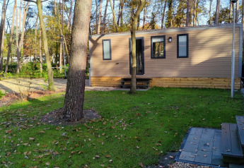 Lodge moderne Luxe Homes à Bospark De Brenkberg, Pays-Bas, entouré d’arbres et de verdure en forêt.