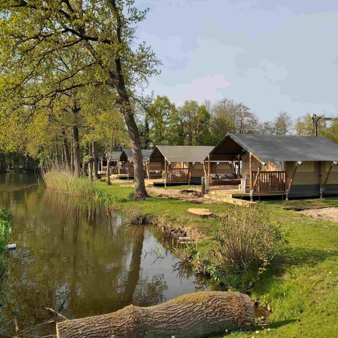 Tiendas de glamping tipo safari junto al lago en Camping Batenstein, Países Bajos, rodeadas de árboles y césped.