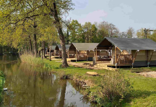Tiendas de glamping tipo safari junto al lago en Camping Batenstein, Países Bajos, rodeadas de árboles y césped.