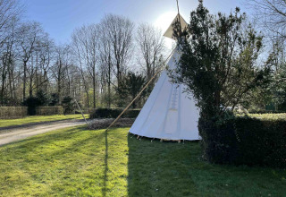Ein Tipi-Zelt im Ferienpark Buytenplaets Abelen in Flevoland, Niederlande, umgeben von Bäumen und Wiese.