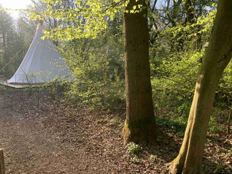 Tente dans la forêt à Buytenplaets Suydersee, un parc de vacances à Flevoland, Pays-Bas, entourée d’arbres.