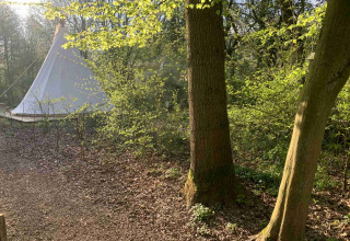 Tenda nella foresta presso Buytenplaets Suydersee, un villaggio turistico a Flevoland, Paesi Bassi tra alberi.
