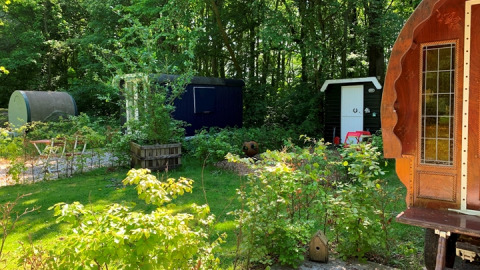 Groene tuin met knusse huisjes in Buytenplaets Suydersee vakantiepark in Flevoland, Nederland.
