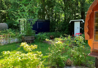 Grüner Garten mit kleinen Holzhütten im Ferienpark Buytenplaets Suydersee in Flevoland, Niederlande.