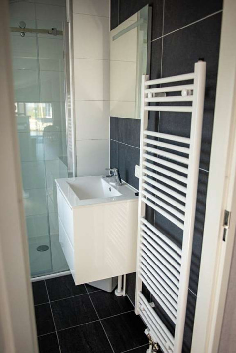 Lille badeværelse med moderne håndvask, spejl, bruseniche og hvid håndklædetørrer i Waterlodge type 2.