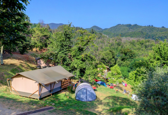 Camping dans les collines vertes au Camping Pian D'Amora, parc de vacances en Toscane, Italie, avec tentes et arbres.