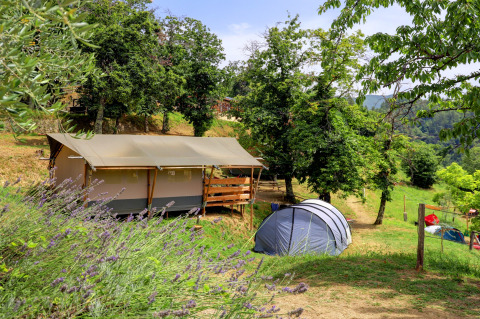 Camping en la Toscana, Italia, con tiendas y cabaña cerca de árboles y colinas verdes y soleadas.