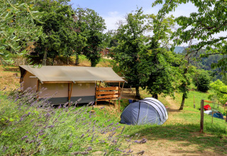 Campingområde i Toscana, Italien med telt og glamping-hytte omgivet af grønne træer og bakker.