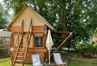 Tiny house Airstay au Papillon Country Resort aux Pays-Bas entourée d'arbres et de chaises de jardin dehors.
