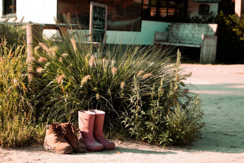 A pair of brown boots and pink wellies sit side by side next to green bushes near Forest Lodge, Netherlands.