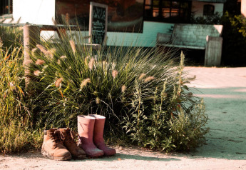 Un par de botas marrones y botas de agua rosas están juntas junto a arbustos verdes en Forest Lodge, Países Bajos.