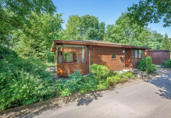 Veluwe lodge al Bungalowpark Het Verscholen Dorp nei Paesi Bassi, immerso nel verde degli alberi.