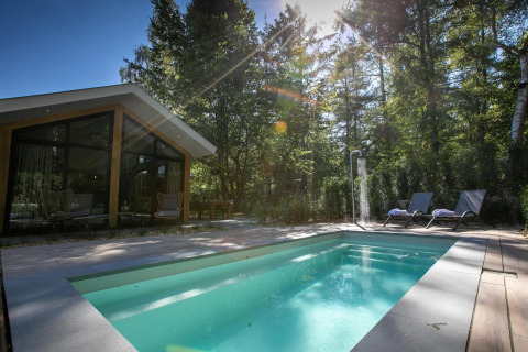 Pool Lodge en De Thijmse Berg, Países Bajos; cabaña moderna con piscina privada, tumbonas y bosque verde.