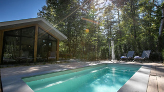Pool Lodge en De Thijmse Berg, Países Bajos; cabaña moderna con piscina privada, tumbonas y bosque verde.
