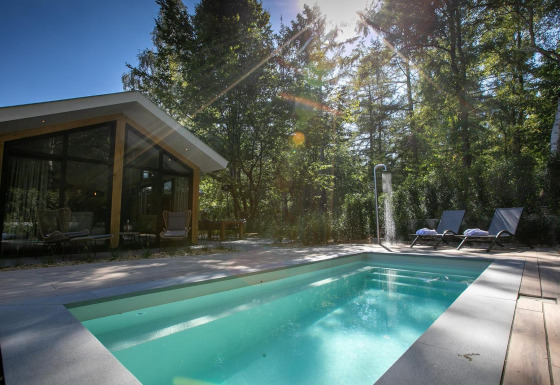 Pool Lodge en De Thijmse Berg, Países Bajos; cabaña moderna con piscina privada, tumbonas y bosque verde.