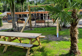 Outdoor climbing net and picnic bench at Bospark De Brenkberg holiday park in Limburg, Netherlands, surrounded by trees.