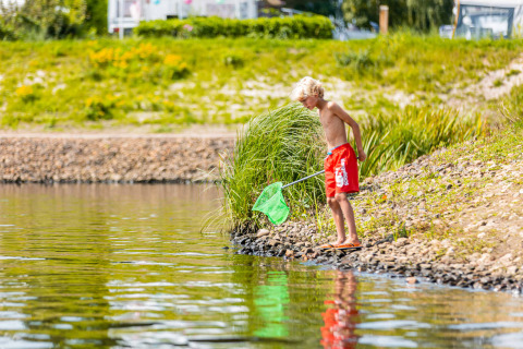 Junge in roten Shorts fischt mit einem Netz am Seeufer im Vakantiepark Leukermeer, Limburg, Niederlande.
