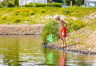 Ragazzo in pantaloncini rossi pesca con un retino sulla riva al Vakantiepark Leukermeer, Limburgo, Olanda.