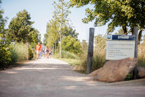 Familia pasea por un sendero arbolado en Vakantiepark Leukermeer, parque vacacional en Limburgo, Países Bajos.