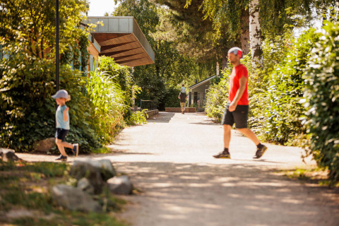 Sonniger Weg im Vakantiepark Leukermeer in Limburg, Niederlande, mit Menschen, die durch das Grün spazieren.