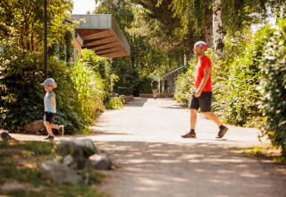 Sonniger Weg im Vakantiepark Leukermeer in Limburg, Niederlande, mit Menschen, die durch das Grün spazieren.