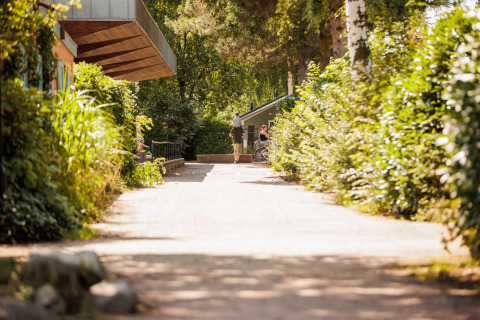 Sendero soleado en Vakantiepark Leukermeer, parque de vacaciones en Limburgo, Países Bajos, con vegetación.