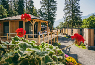 Parc de vacances avec cabanes de glamping en bois, entouré de fleurs et d’arbres, invités sur la terrasse.