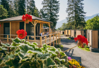 Feriepark med glampinghytter i træ omgivet af skov og bjerge, blomster i forgrunden og gæster på terrassen.
