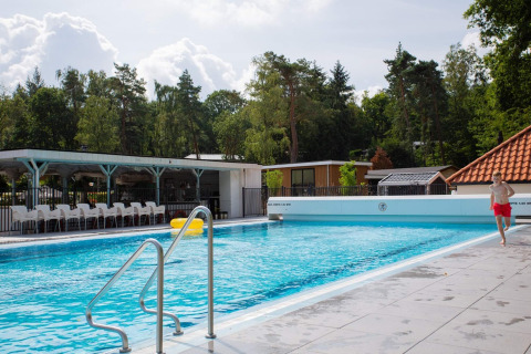 Piscina exterior en el parque vacacional De Thijmse Berg en Utrecht, Países Bajos, rodeada de naturaleza.