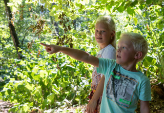 Two children in a sunlit forest at De Thijmse Berg holiday park, Utrecht, with one pointing ahead curiously.