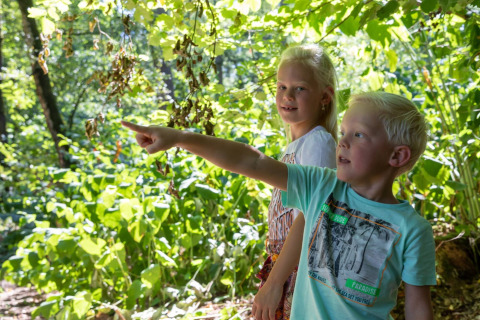 Two children in a sunlit forest at De Thijmse Berg holiday park, Utrecht, with one pointing ahead curiously.