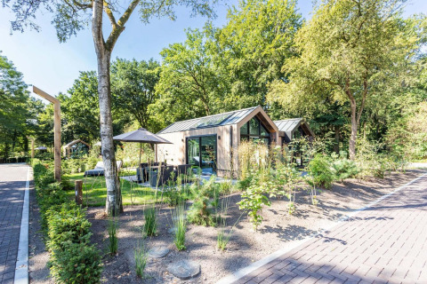 Casa pequeña Lodge Royal Eco en Résidence Lage Vuursche, Países Bajos, rodeada de árboles y vegetación verde.