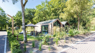 Casa pequeña Lodge Royal Eco en Résidence Lage Vuursche, Países Bajos, rodeada de árboles y vegetación verde.