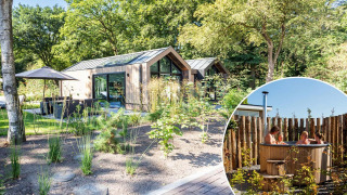 Tiny house Lodge Royal Eco Wellness con jacuzzi rodeado de vegetación en Résidence Lage Vuursche, Países Bajos.