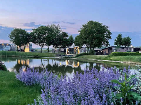 Atardecer en Natuurlodge del Recreatiepark het Esmeer, Países Bajos, con estanque y flores moradas delante.
