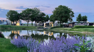 Atardecer en Natuurlodge del Recreatiepark het Esmeer, Países Bajos, con estanque y flores moradas delante.