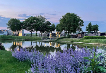 Aftenstemning ved Natuurlodge ved Recreatiepark het Esmeer, med lilla blomster, sø og hytter i Holland.