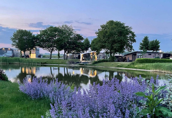 Avondzicht op Natuurlodge bij Recreatiepark het Esmeer in Nederland, met paarse bloemen en vijver op voorgrond.