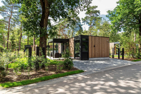 Moderna cabaña en Veluwe Hoeve, Resort Veluwe en los Países Bajos, rodeada de árboles y vegetación.