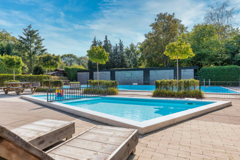 Zona de piscina al aire libre con tumbonas y árboles en Bungalowpark Het Verscholen Dorp, Gelderland, Países Bajos.