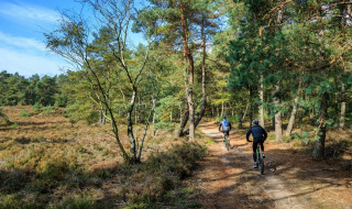 Dos ciclistas recorren un sendero forestal cerca de Harderwijk, Gelderland, rodeados de árboles y naturaleza.