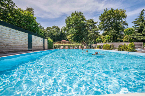 Outdoor swimming pool at Bungalowpark Het Verscholen Dorp, surrounded by trees in Gelderland, Netherlands.