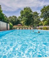 Piscine extérieure au Bungalowpark Het Verscholen Dorp, entourée d’arbres à Gelderland, Pays-Bas.