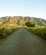 Camino rural asfaltado rodeado de flores silvestres y montañas soleadas cerca de Cannigione, Cerdeña, Italia.